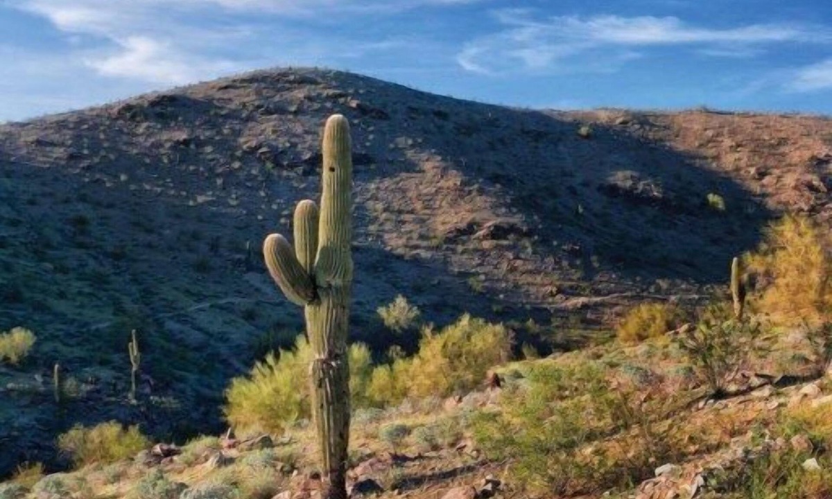 Ahwatukee Foothills Condo | WorldMark South Mountain Preserve - 3 Bedroom