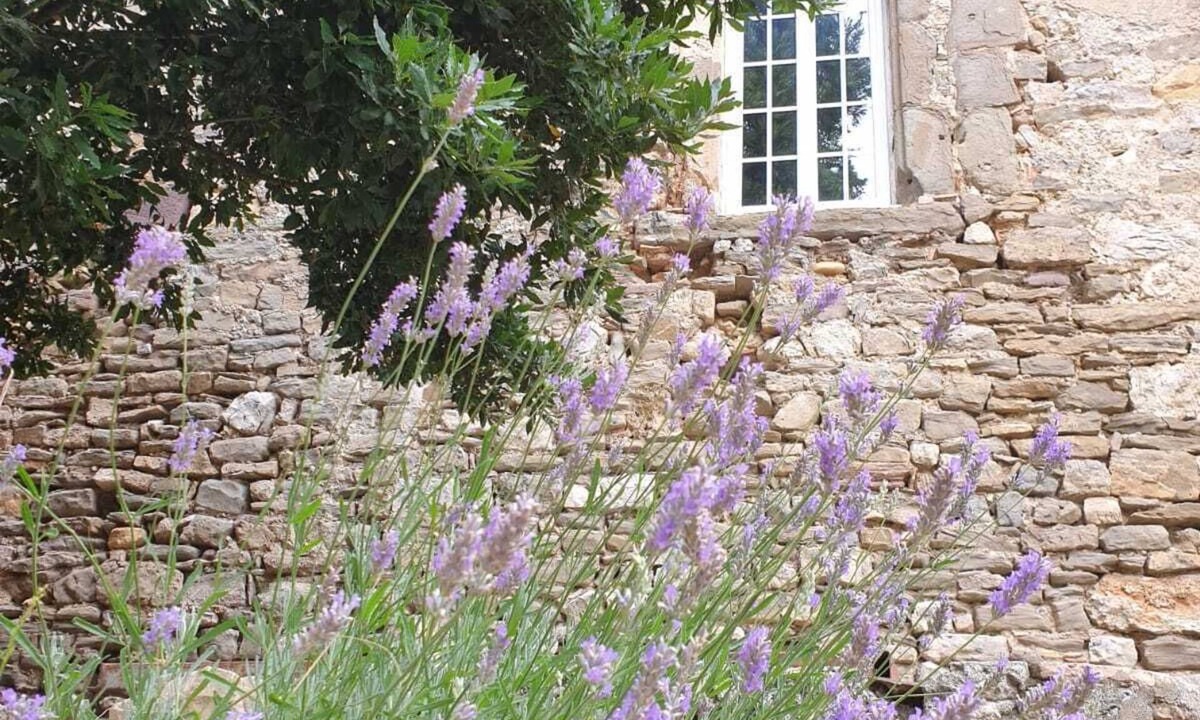 Canet Other | XIth century castle