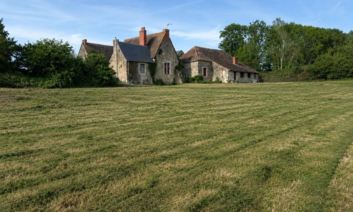 Brulon House | XVIᵉ century manor house - Nature, charm & calm near Le Mans - Brûlon
