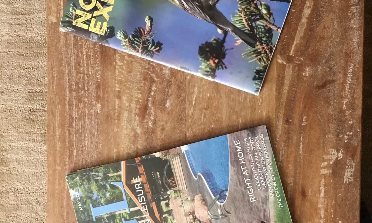 Champlain Other | Xyzfghh bft