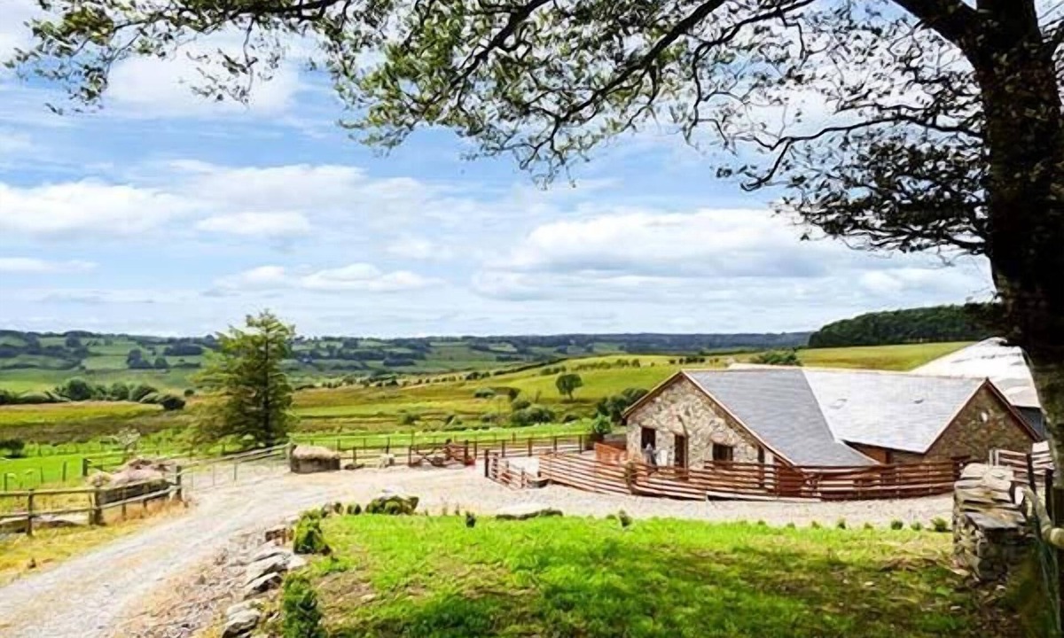 Bontnewydd Cottage | Y Bwthyn