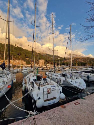 Krvavica Boat Rental | Yacht Vratislavia
