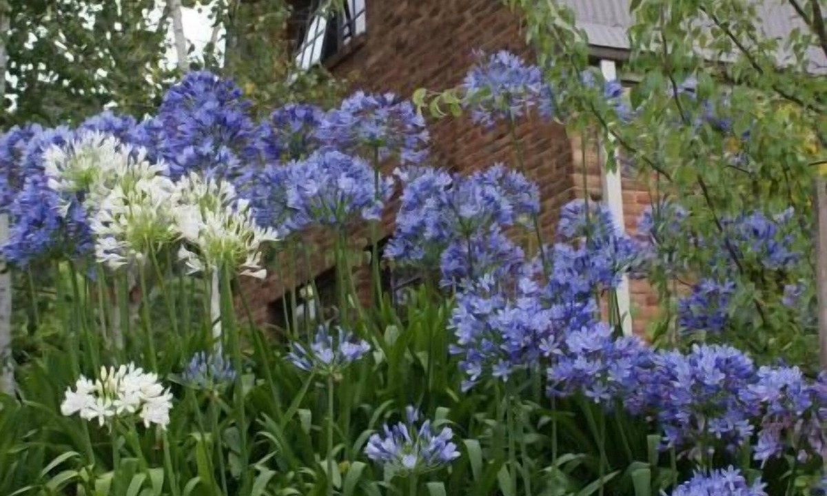 Bundanoon Bed & Breakfast | Yallambee