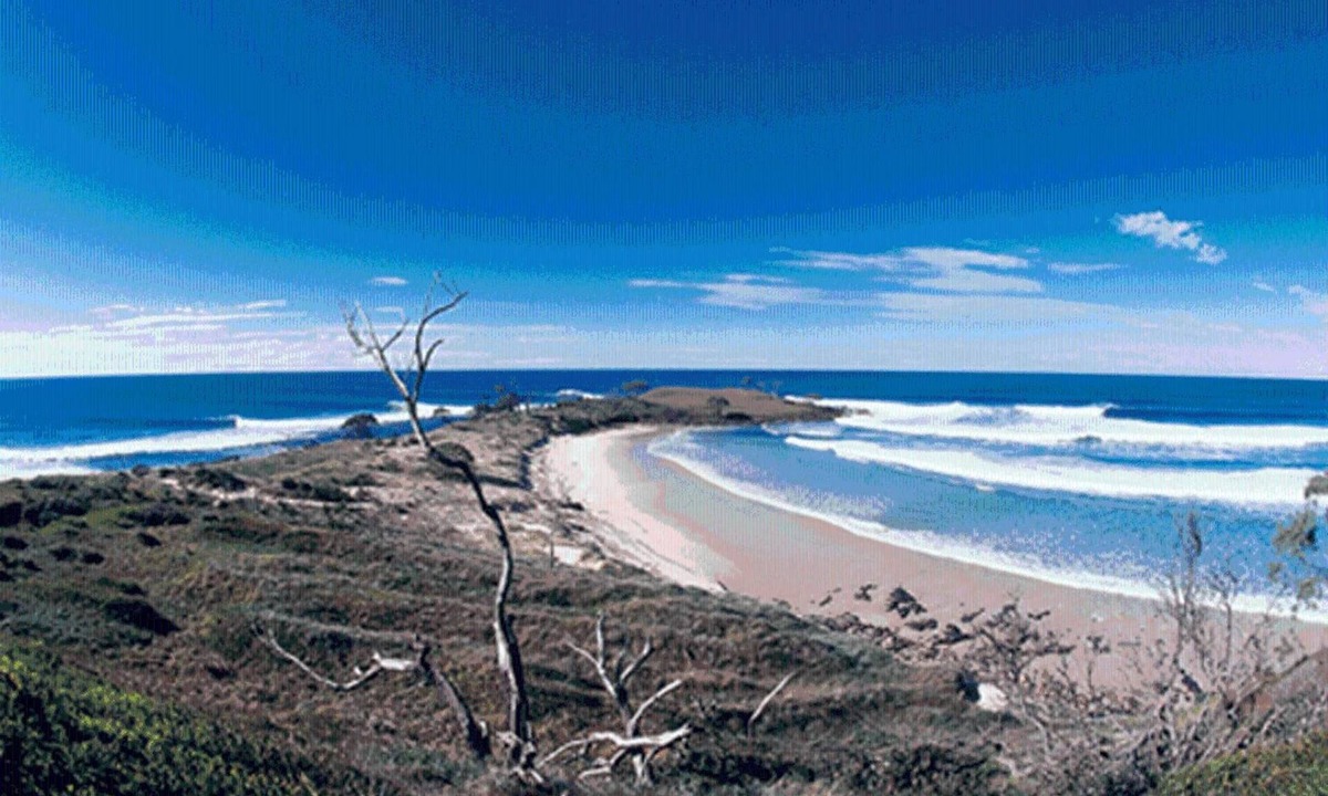 Yamba Hostel | Yamba Central - Hostel