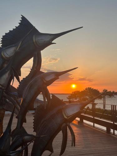 Le Moulleau Hotel | Yatt Hotel