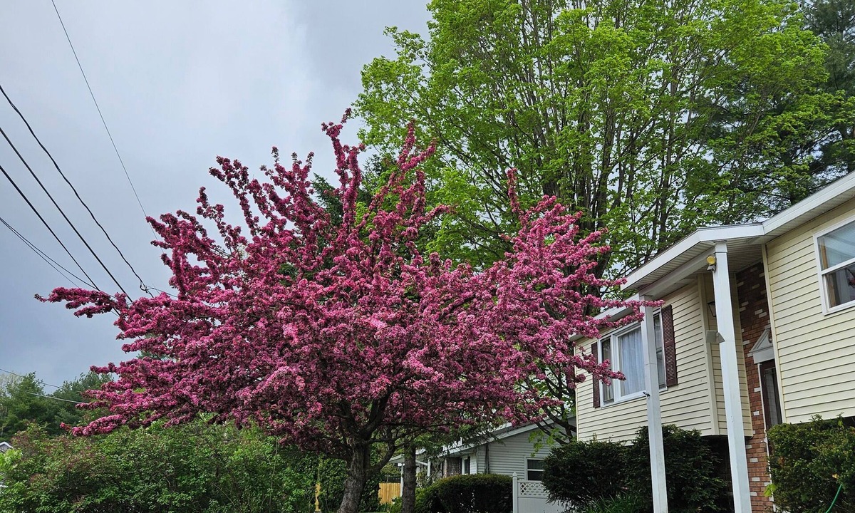 Warrensburg House | YEAR'ROUND FAMILY FUN!