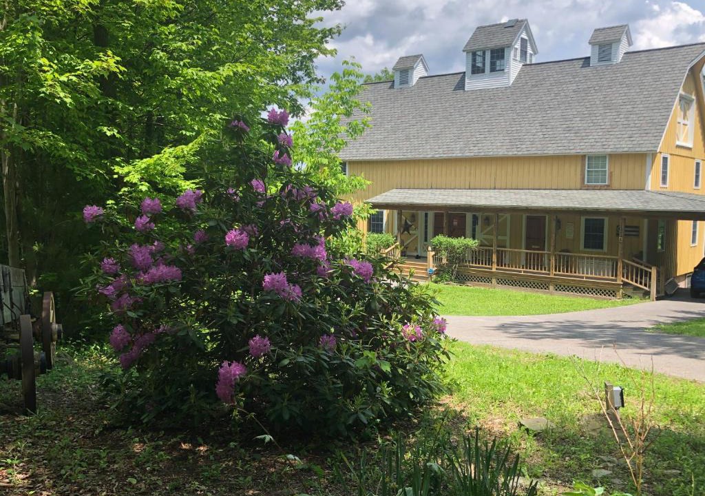 Etna House | Yellow Barn Estate