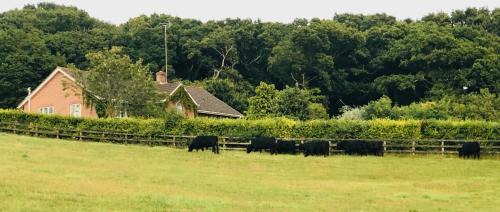 Yellowham Wood House | Yellowham Farm, Dorchester