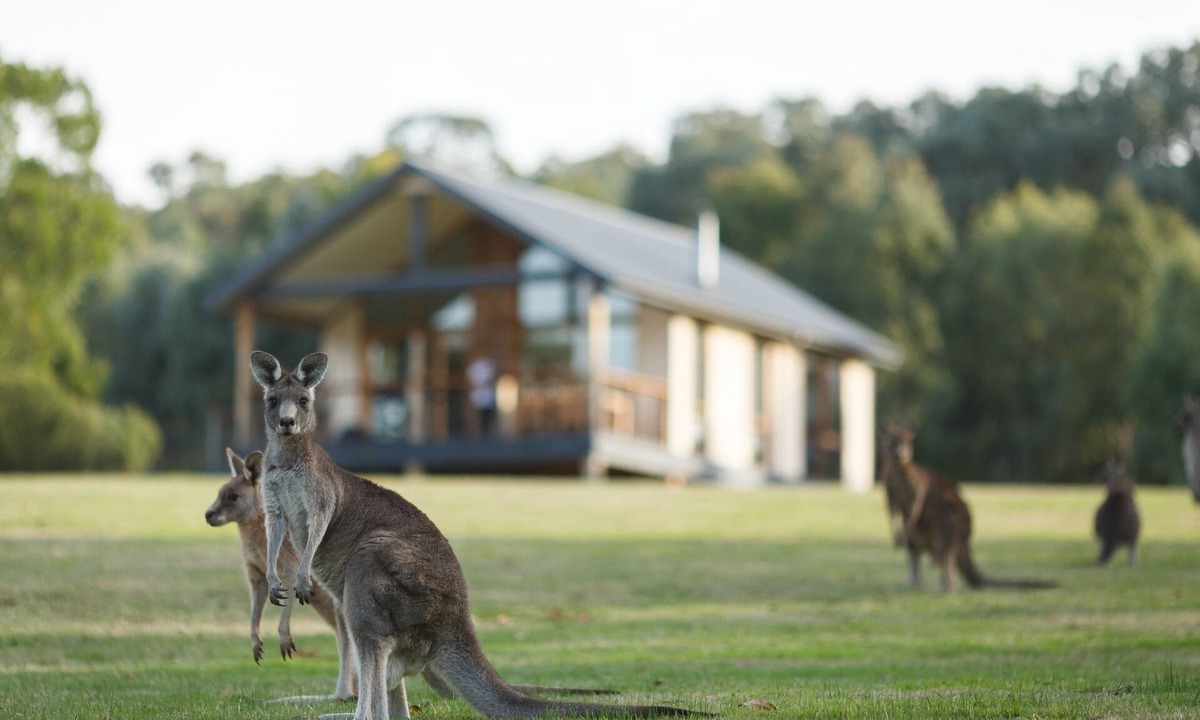 Yering Cottage | Yering Gorge Cottages