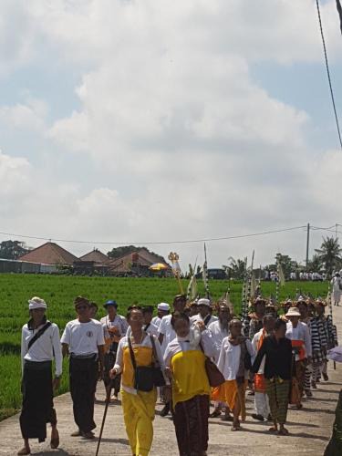 Seseh Villa | Yogi Homestay