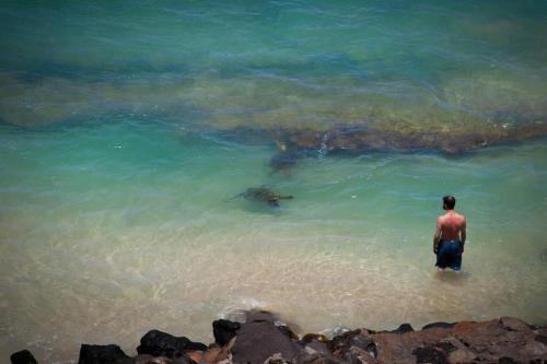 Wailuku Apartment | Yonegan Central Maui Getaways