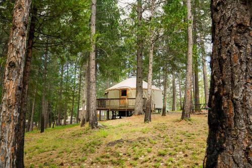 Harden Flat Resort | Yosemite Lakes Hillside Yurt 14