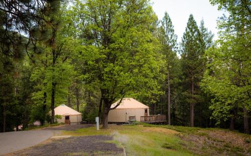 Harden Flat Resort | Yosemite Lakes Yurts