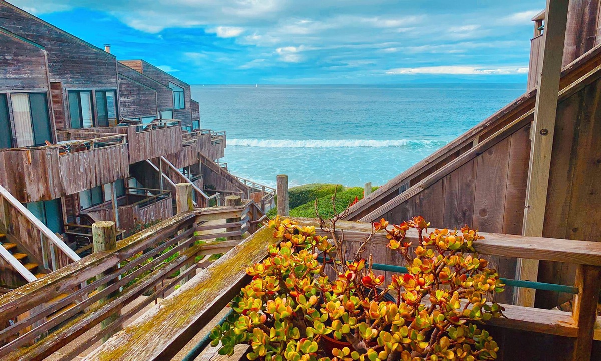 Monterey Condo | YOU WON'T WANT TO LEAVE!