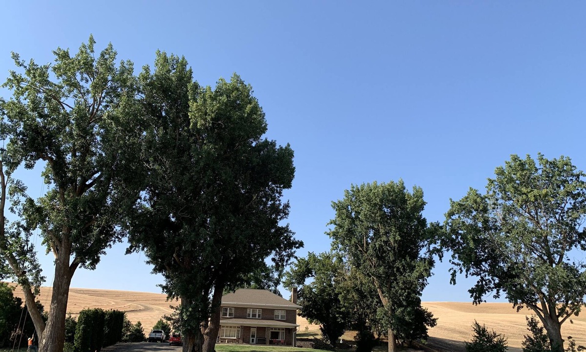 Whitman County House | Young Country Manor