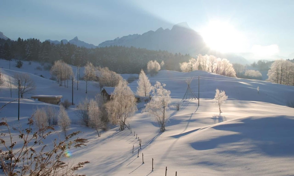 Seelisberg Apartment | Your experience