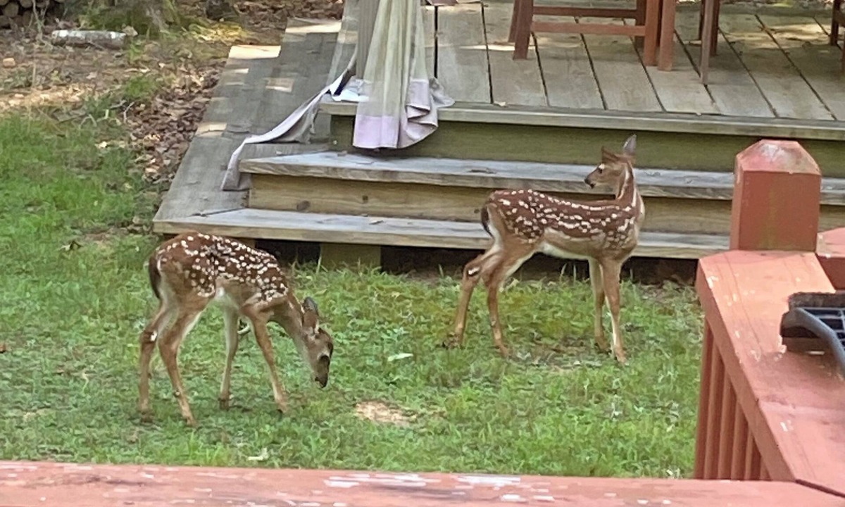 Murphy House | Your Great Get Away!