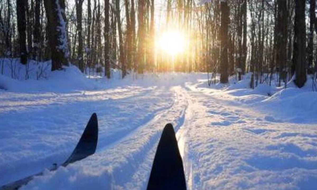 Dysart et al Cottage | Your Perfect Fall or Winter Getaway!