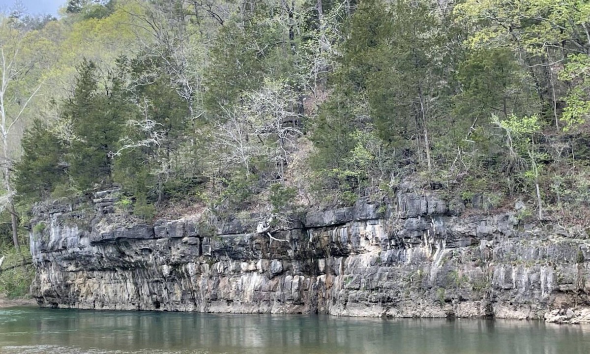 Teresita House | Your Relaxing Getaway Awaits! Pet-Friendly Cabins, Free Parking