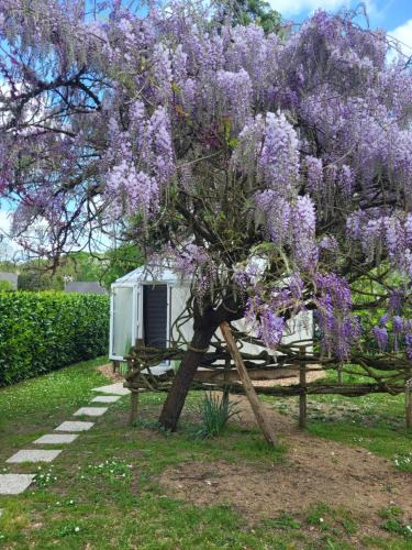 Briollay Other | Yourte de déconnexion chauffage climatisation