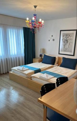Neuhausen am Rheinfall Hostel | Zak Neuhausen