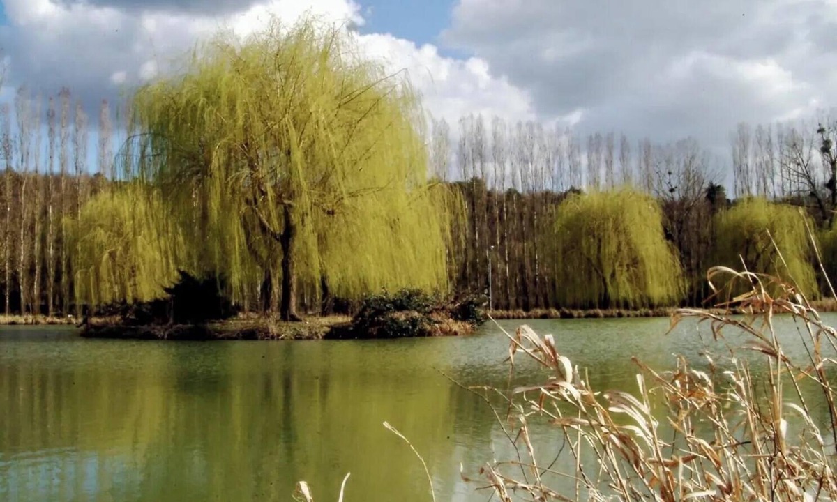 Bagneaux-sur-Loing House | ZEcamping 3 étoiles chiens acceptés locatif 2 pers