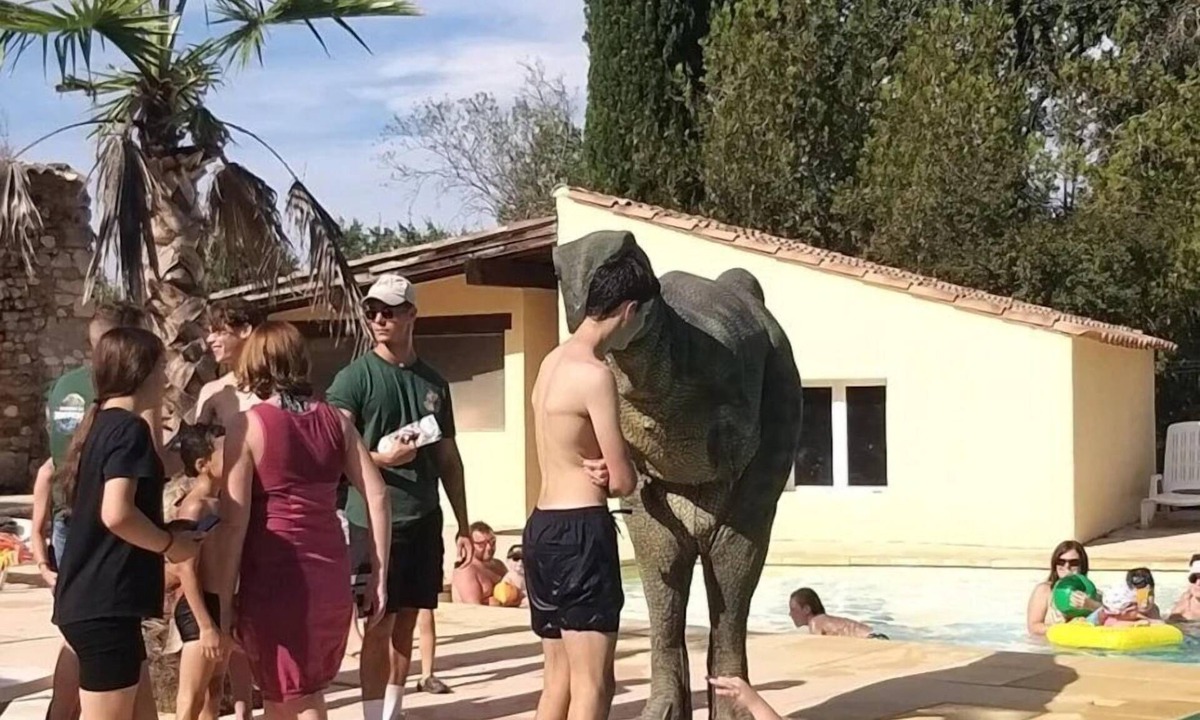 Rochegude House | ZEcamping 4* familial piscine chauffée animaux acceptés chalet TV clim