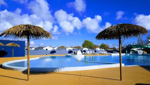 Angles Other | ZEcamping 4 pet friendly terrain multisports piscine couverte