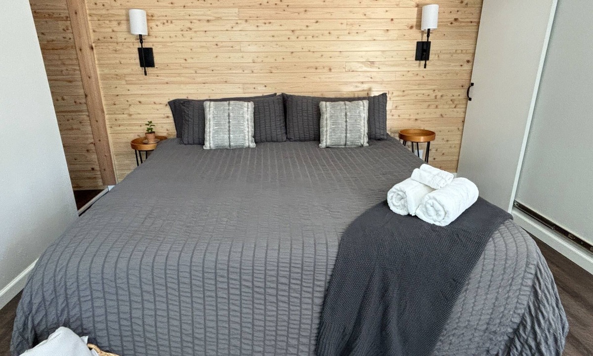 Burleson Apartment | Zen Den - jetted tub, massage chair, home theater, EV charger, King bed, parking