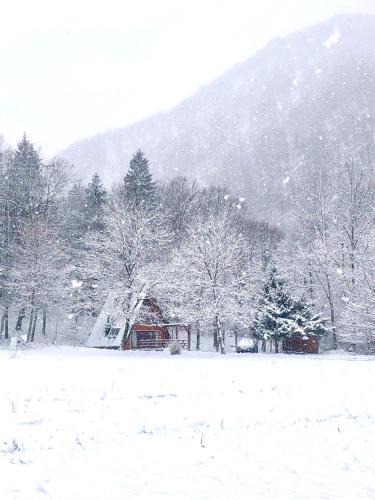 Brod na Kupi Ski Chalet | Zen House