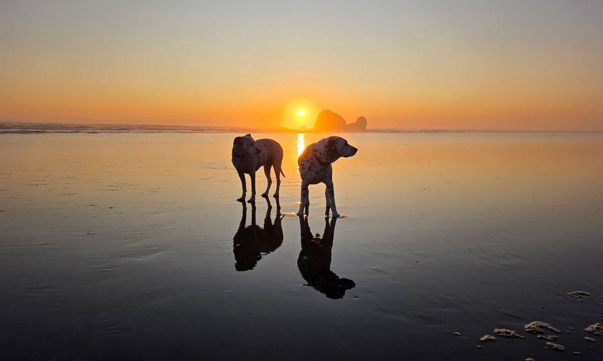 Copalis Beach House | Zenith at Copalis Rocks - Unsurpassed Ocean View