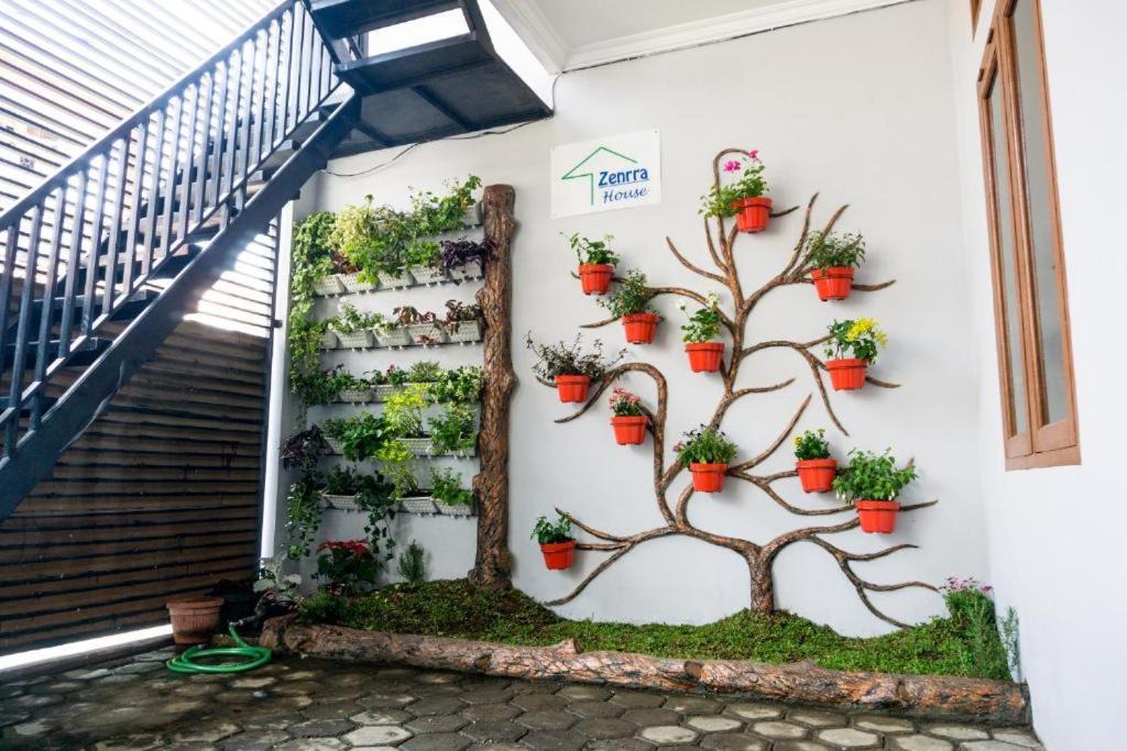 Pasteur House | Zenrra House 2