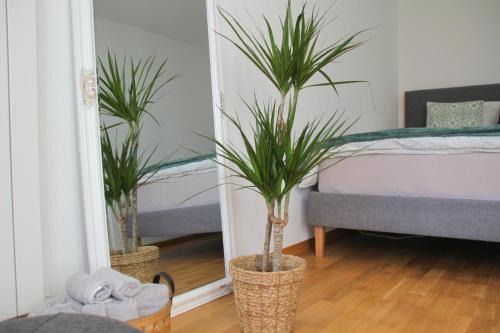 Frutigen Apartment | Zentral I 20Min nach Interlaken