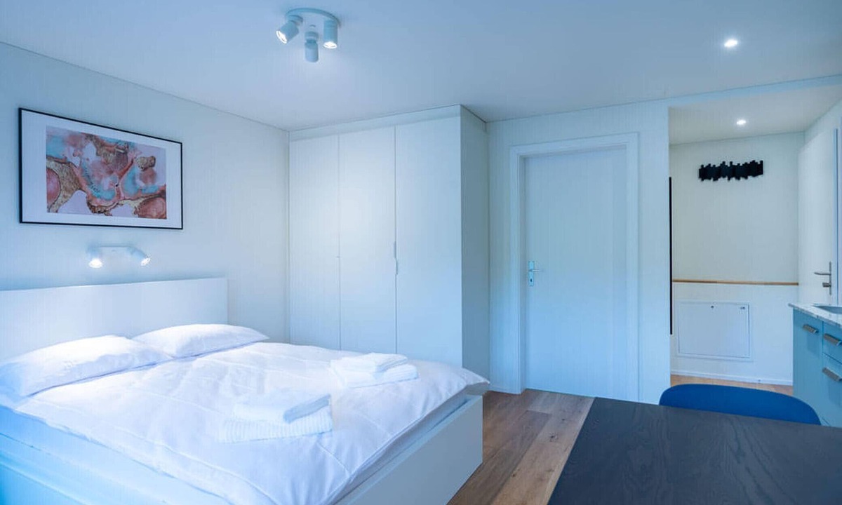 Hirslanden Apartment | ZH Maxilla 3 - Riesbach HITrental Apartments