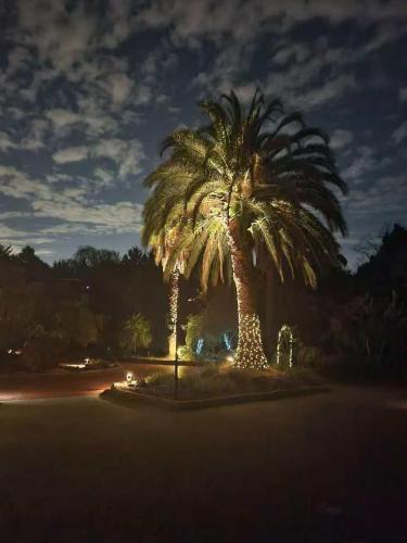 Kilsyth Other | zhus garden