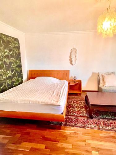 Horgen District House | Zurich at the Lake double room in historic house shared Bath