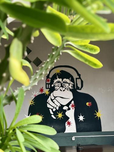 Kalipuro Hostel | Zzz Ijen Hostel