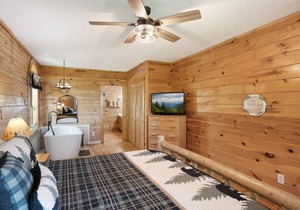 1/3mile of Dollywood/Amazing Mts View/wifi/another cabin #1237057 1mile away