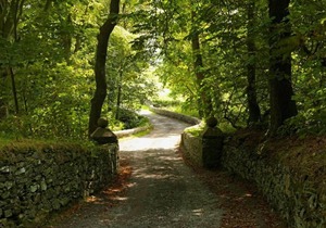 1 'Adhara' Luxury Bell tent Glamping Tent Anglesey