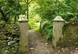 1 'Adhara' Luxury Bell tent Glamping Tent Anglesey