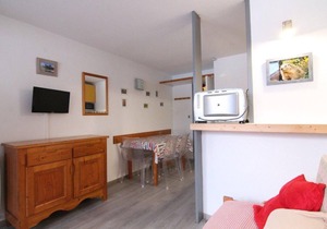 100m from ski slopes, Ground floor, balcony, tv, ski locker, 25m², Alpe d'Huez