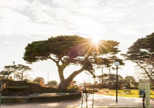 11ESP · What a spot! Perfect for that Mornington Getaway!