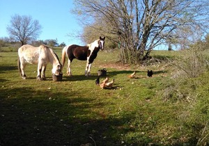 12 m² Hotel ∙ 1 bedroom ∙ 1 guest