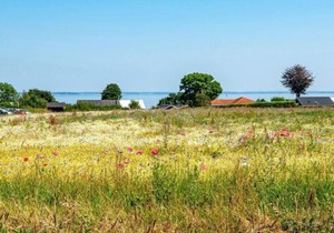 12 person holiday home in Haderslev