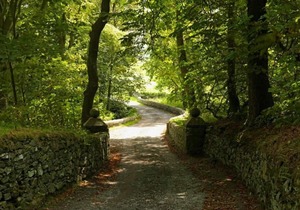 13 'Zaniah' Bell Tent Glamping Anglesey