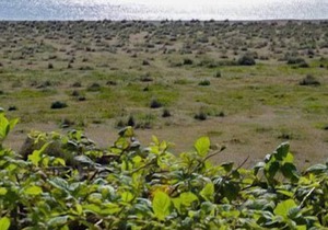 2 bedroom accommodation in Kessingland