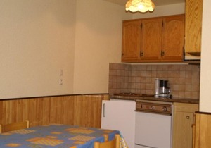 2 pièces au pied des pistes avec balcon, animaux admis - FR-1-557-24