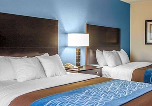 2-Star Hotel ∙ Comfort Inn Lees Summit