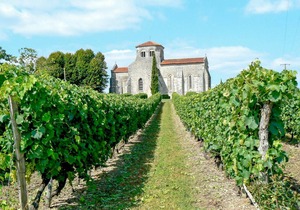 25 m² Apartment ∙ 1 bedroom ∙ 2 guests