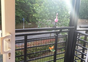 2bedroom flat near by Wimbledon TennisCourt